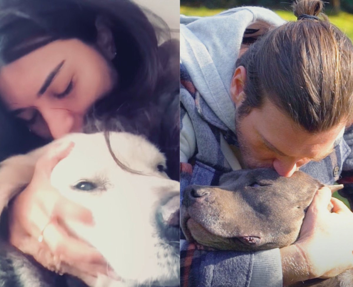 MihaelaTirpan's tweet photo. #TubabBüyüküstün #KivançTatlituğ 🧿😍 https://t.co/3YWz0UGO3N