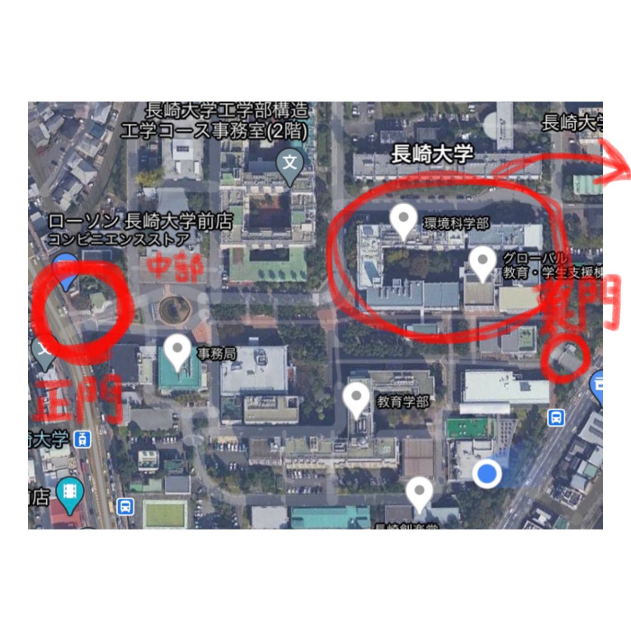 公式 長崎大学生協 新入生サポートセンター 写真は1枚目からa棟 B棟 C棟の順番です 特にb棟の入口は見つかりにくいです 新入生は迷いやすいので 最初の頃は時間に余裕を持って行動しましょう ぜひ友達にも教えてあげてください 春から長大
