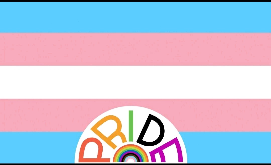 JoanneMonck's tweet photo. Today is International Transgender Day of Visibility,  when we celebrate the achievements and resilience of the transgender community and the positive way they contribute to society.  Raising awareness and encouraging people to be Allies. STAND UP, STEP UP, STAND OUT.
#TDOV2021 https://t.co/LYQnJCt1aI