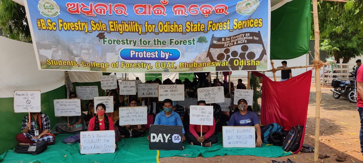 Arpitasingh423's tweet photo. #BSc_Forestry_Sole_Eligibility_for_Odisha_State_Forest_Services
@Naveen_Odisha @CMO_Odisha @BKArukha @dr_arunsahoo @SecyChief @MoSarkar5T @PrakashJavdekar @sandeepifs @ForestDeptt @pccfodisha @ifs_odisha @AprajitaSarangi 
Day 38 https://t.co/13UMfAOg1J