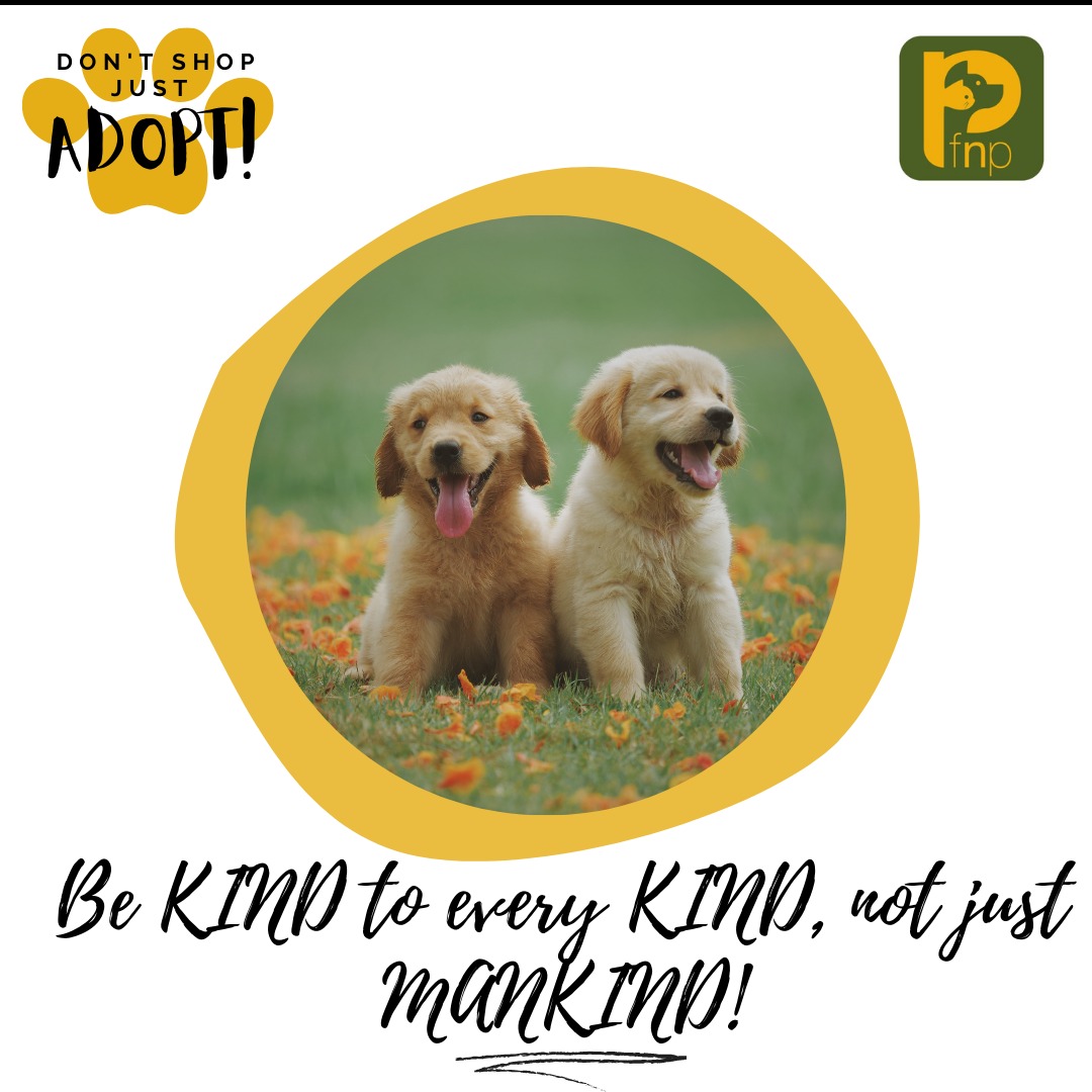 GutgutiaVikaas's tweet photo. Be LOVING to all ANIMALS.
@FNPPETS
#pets #petfriendly  #petsofindia #petsarefamily #petparent #responsible #doggos #cattos #dogs #cats #fnp #fnppets #vikaasgutgutia https://t.co/aaih33q3PR