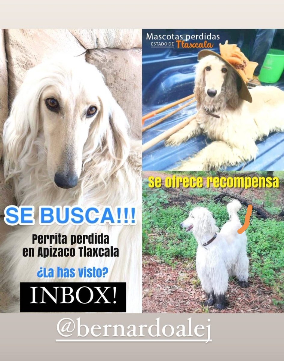 laramark's tweet photo. #tlaxcala #apizaco https://t.co/VLpU463lA7