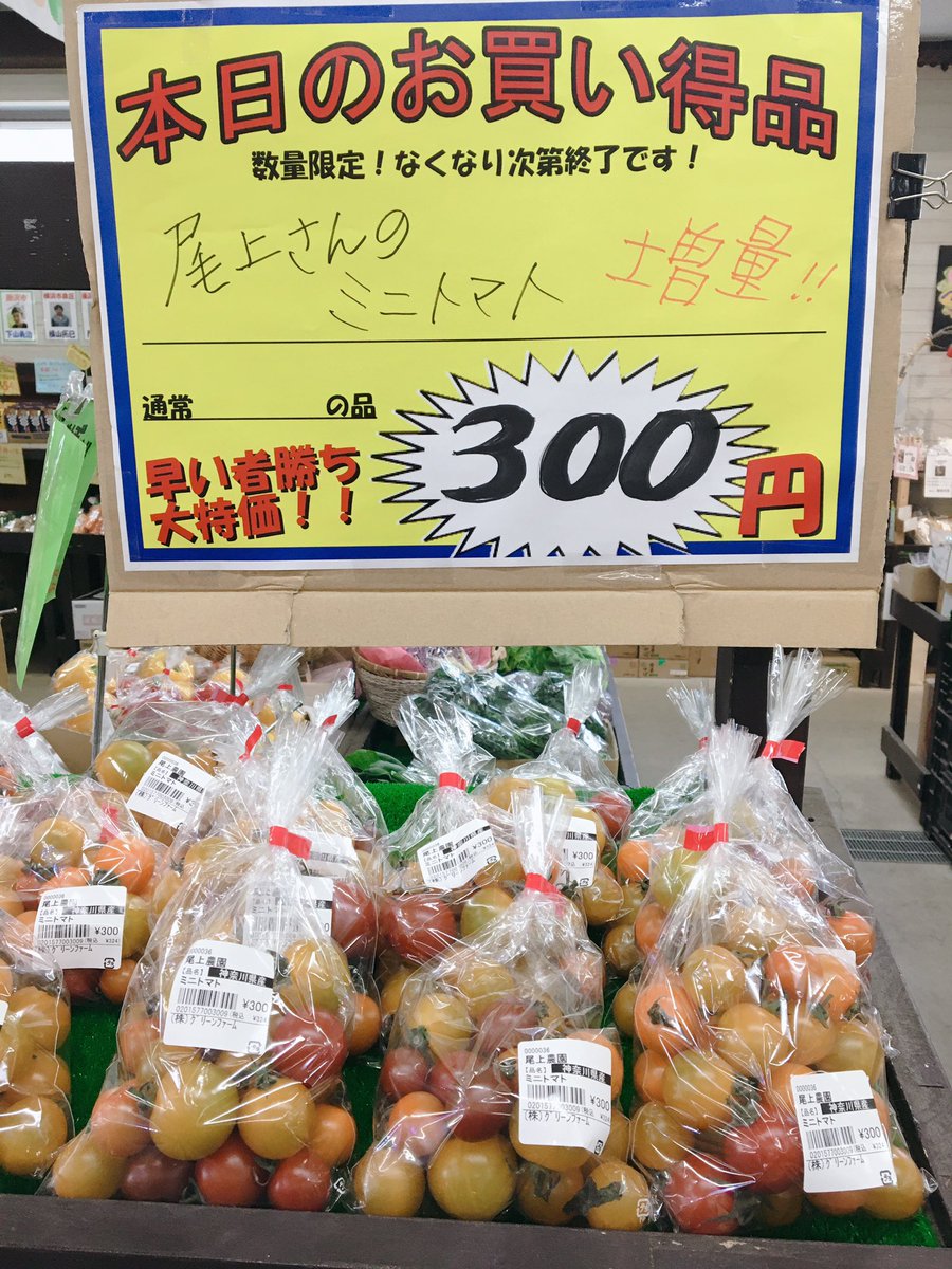 グリーンファーム戸塚深谷店 A Twitter 尾上さんのトマト ミニトマト増量中 300円 フルティカ特価価格 330円 今だけの増量 特価ですのでお早めに おすすめです 横浜 戸塚 ミニトマト トマト フルティカ グリーンファーム グリーンファーム戸塚 グリーンファーム戸塚深谷店 A Twitter 尾上さんのトマト ミニトマト増量中 300円 フルティカ特価価格 330円 今だけの増量 特価ですのでお早めに おすすめです 横浜 戸塚 ミニトマト トマト フルティカ グリーンファーム グリーンファーム戸塚