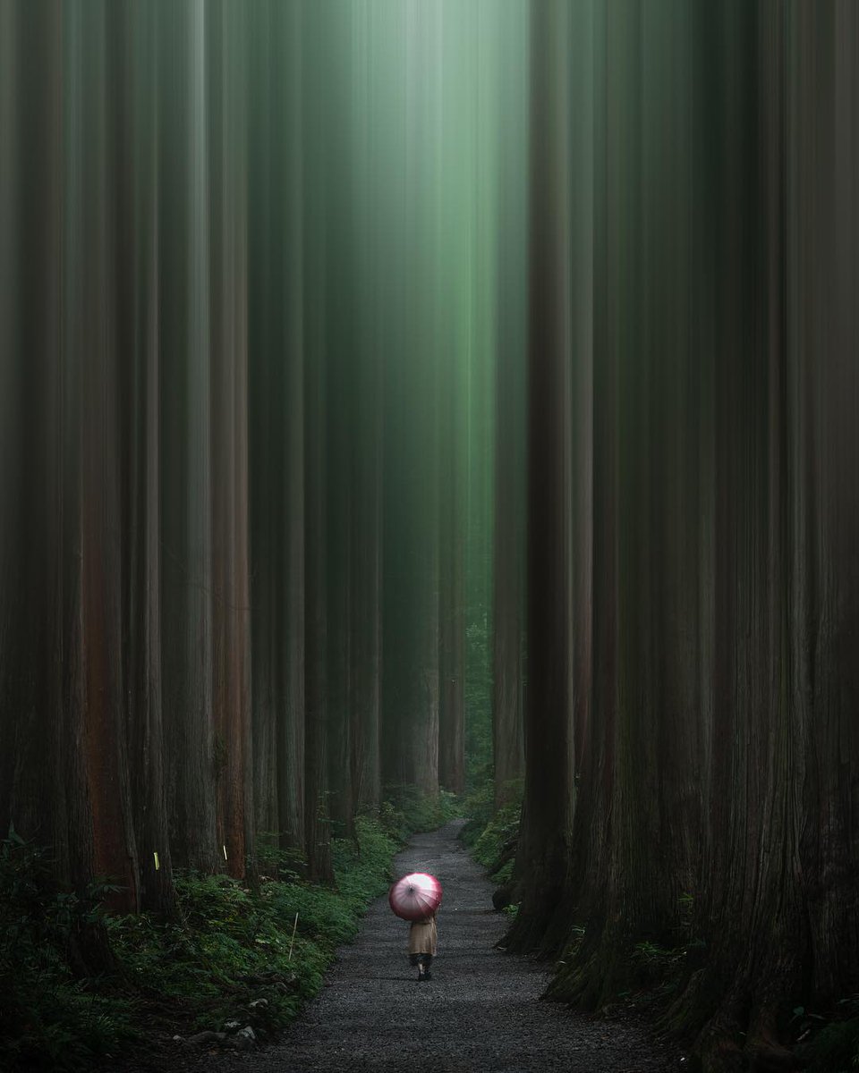 MyEasternStory's tweet photo. 🌲 The road along Sugi /杉/ to Togakushi Shrine /戸隠神社/ - Shinto shrine in Togakushi, Nagano, Japan 🇯🇵 ⛩ 🗻 
🌲 📸 @ ig__bee

#EasternStory #TogakushiShrine #japan #Nagano #MyōkōTogakushiRenzan #sugi #shrine https://t.co/dtOyZ11upU