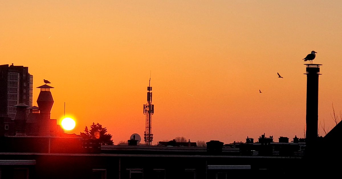 CarolineUbachs's tweet photo. Goooodmorning world! 
#zonsopkomst #sunrise #lente #morguh #Scheveningen #GoedemorgenNederland #goedemorgen https://t.co/3Fhq90S5ev