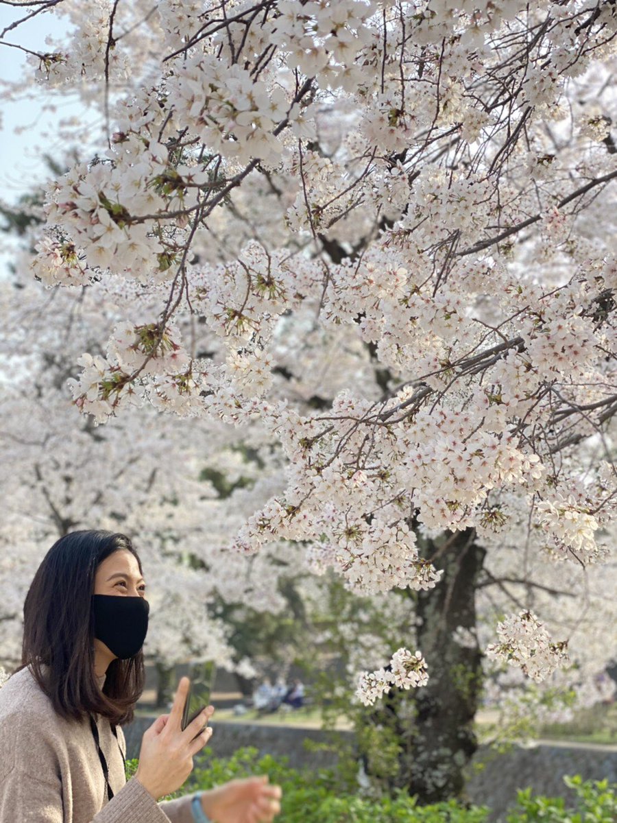 Marvelous_JT's tweet image. 🌸春の訪れ🌸

満開の桜にネーンも感激😍
天気も良くて最高ですね！！

#JTマーヴェラス #JTmarvelous
#タットダオ・ヌクジャン
#ทัดดาวนึกแจ้ง
#美人通訳のメイさんも一緒に
#桜
#夙川