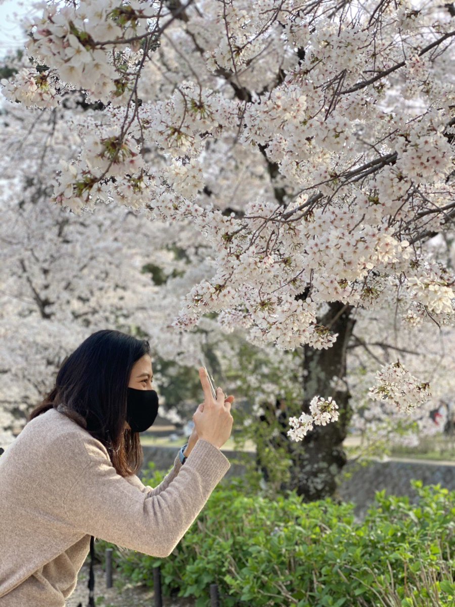 Marvelous_JT's tweet image. 🌸春の訪れ🌸

満開の桜にネーンも感激😍
天気も良くて最高ですね！！

#JTマーヴェラス #JTmarvelous
#タットダオ・ヌクジャン
#ทัดดาวนึกแจ้ง
#美人通訳のメイさんも一緒に
#桜
#夙川