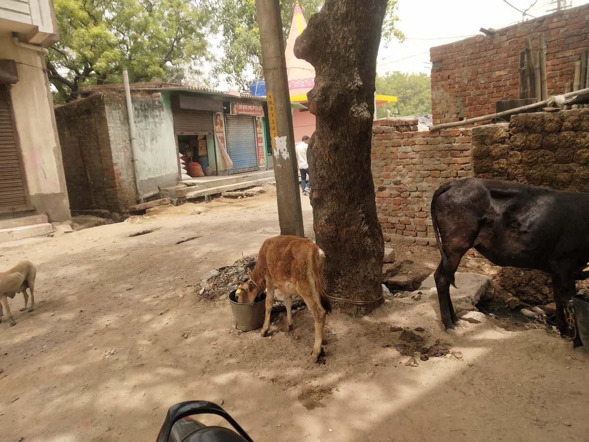 RealInd08981806's tweet photo. Pathetic situation of road at Gandhi Nagar, Dhanbad from last 1.5 yrs.. People are forced to live in such worst conditions.. Request @JharkhandCMO @DhanbadC @WeAreJharkhand @HemantSorenJMM to take action on the same.. https://t.co/gxtaDYGwff