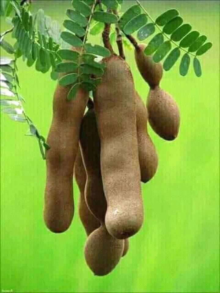 AmarPranerBD's tweet photo. জিভে জল আসলে আমি দায়ী না😛😛😋 https://t.co/uEzEE2nofn