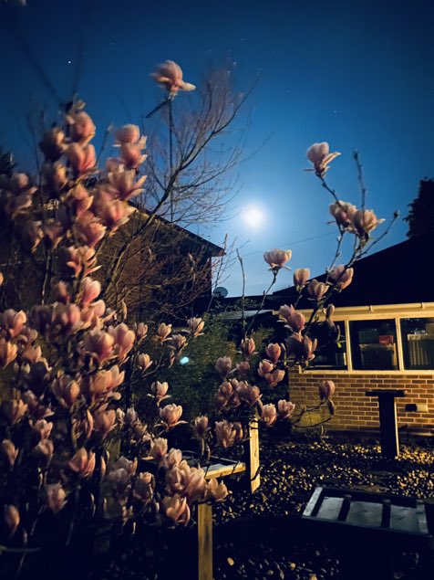 Thank you Ian https://t.co/8EEfzl5GeV<a href="/tag/happythoughts"class="tags"><span>#happythoughts</span></a>