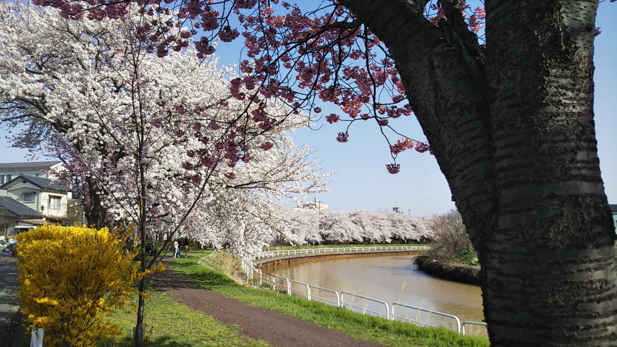 五十嵐 利恵 フリーアナウンサー すごく綺麗です 行ってみます