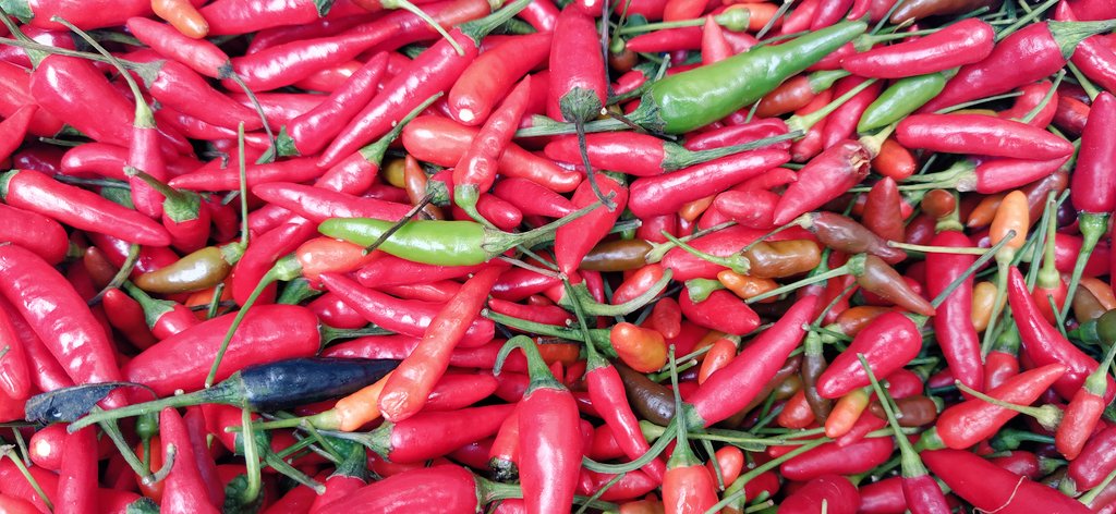 Phyllis_Phyl_'s tweet photo. FURY KAMBUZI SAUCE NOW HAS A SPICY SISTA.
HMU TO TRY SOME https://t.co/S510FX3EqC