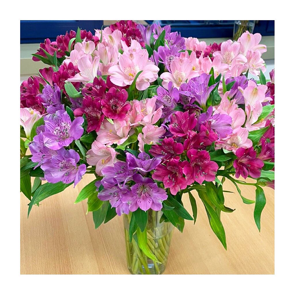 elgoncollection's tweet photo. An assortment of our Elgon Alstroemeria in the Dutch office at Rose Handling Services, looking stunning after a week and a half of vase life testing ๐น๐ฟ
#mountelgonorchards #elgoncollection #roseswithaheartofgold https://t.co/KcXRKGv1bV