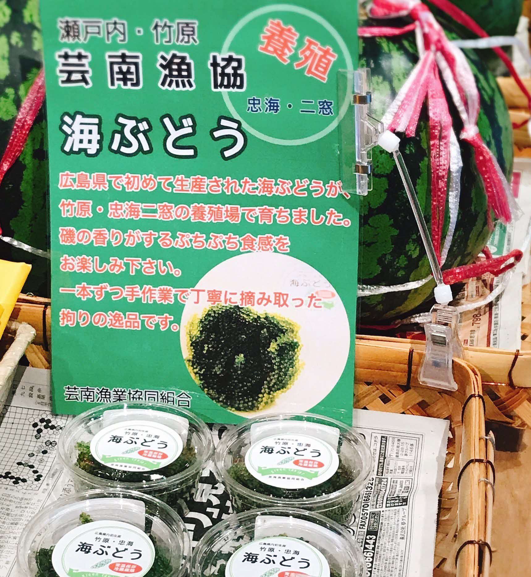 ひろしまフードフェスティバル 海ぶどう おすすめ食べ方 まずはポン酢を付けて 茹でたそうめん にレモンつゆを注ぎ たこ天と一緒にトッピング 他に 葡萄とカッテージチーズをレモンドレッシングとはちみつとオリーブオイルであえて 海ぶどうを散らして