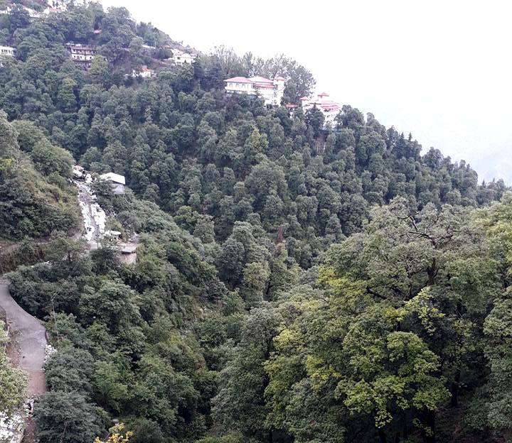 Mussoorie Tourism tweet media