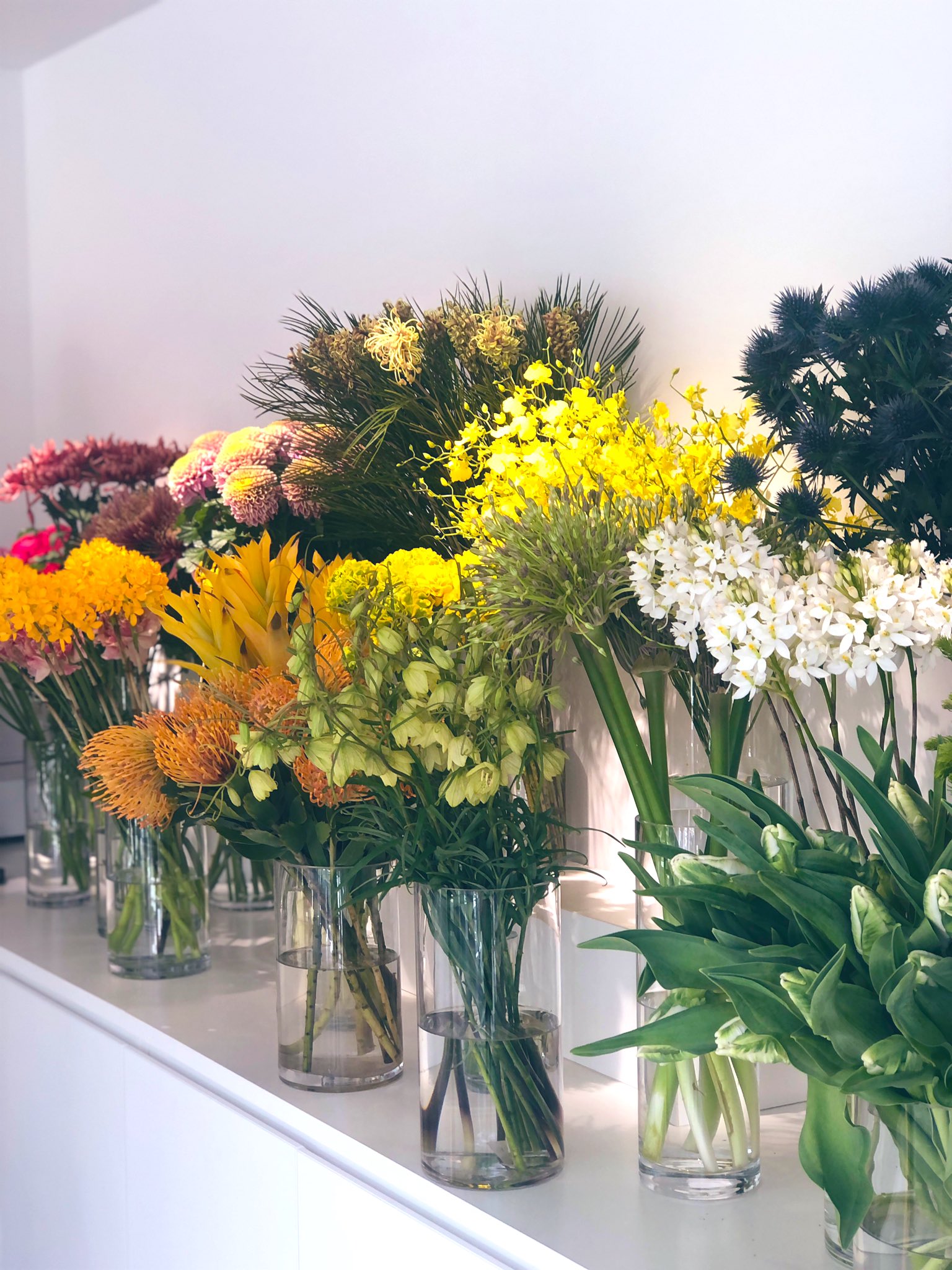 表参道のお花屋さん Twitter Search Twitter