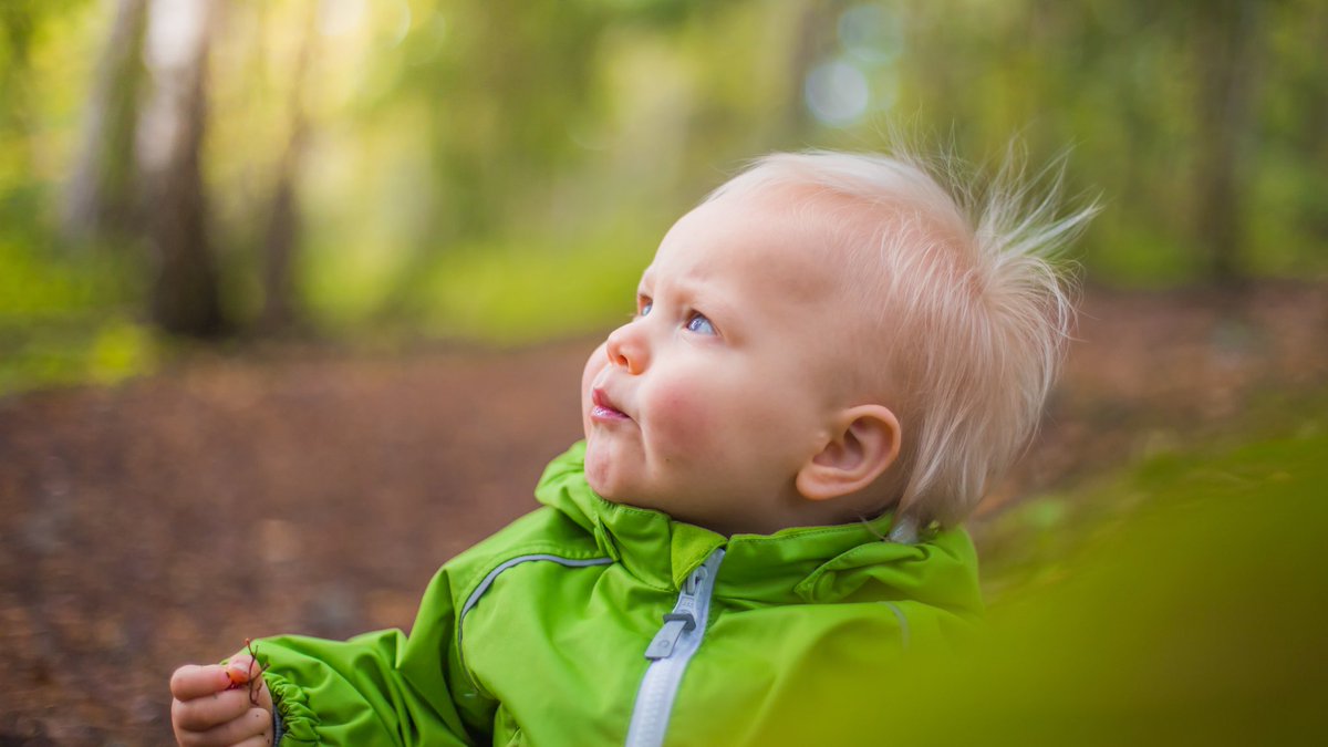 GetSnapi's tweet photo. Pääsiäinen! 🌱🐣 Pitäisi hakea sitä ja tätä. Etkö saanut pääsiäisen ruuille enää kotiinkuljetusta? Älä huoli, Snäpi hoitaa asian Pirkanmaalla ja pääkaupunkiseudulla. Keskity sinä oleelliseen. 
👉 Tilaa Snäpi täältä https://t.co/jEO3aNUbOL

#pääsiäinen #kuljetuspalvelu #snäpi https://t.co/Tty1QLOikM