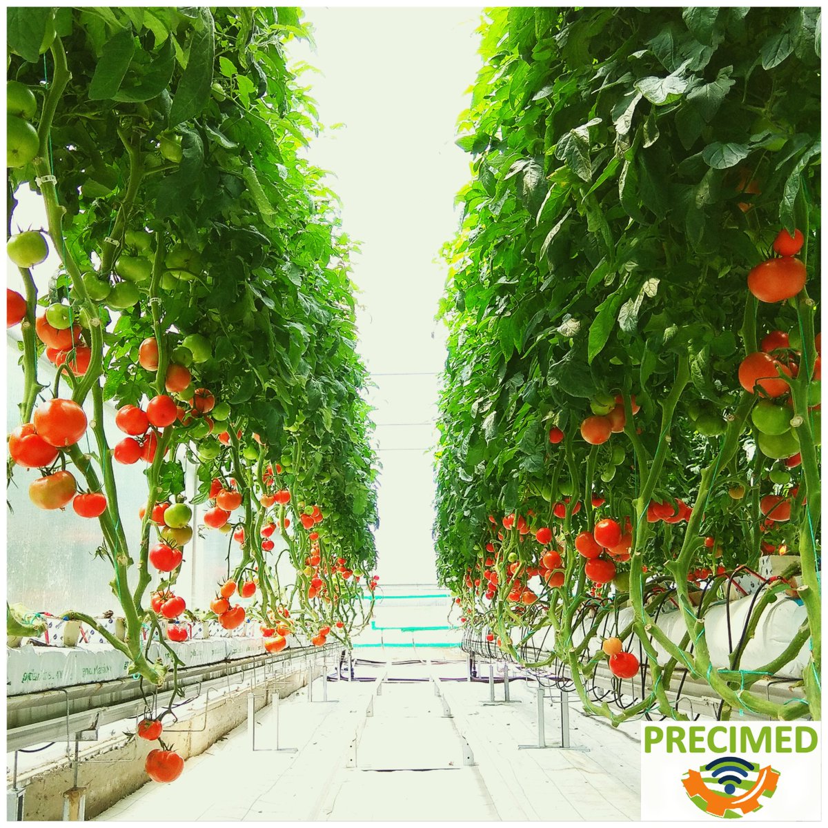 PrecimedP's tweet photo. #PRIMAPicoftheMonth
Nikolaos Katsoulas
#precimed
#PRIMAProgram https://t.co/h20vxgVfvo