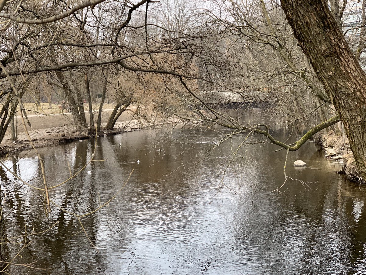 I dag økes vannføringen i Akerselva ytterligere - til 13 m3/sek. En helt vanlig vårflom. Basert på data for 60-årsperioden 1956–2015 er flomverdiene for Akerselva beregnet å være: årsflom 19,7 m3/s, femårsflom 26,1 m3/s, tiårsflom 32,4 m3/s, femtiårsflom 47,9 m3/s.
