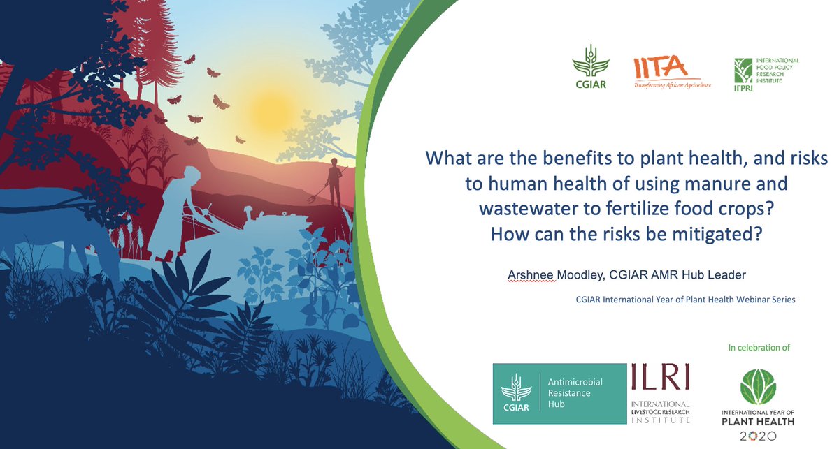 amrhub's tweet photo. @ArshneeM will be discussing the benefits to plant health, risks to human health of using #manure and #wastewater to fertilise food crops at the Plant Health for One Health Webinar
#OneHealth 
#CGIAR
#AntimicrobialResistance
#AMRHub https://t.co/mQBJO19D9a
