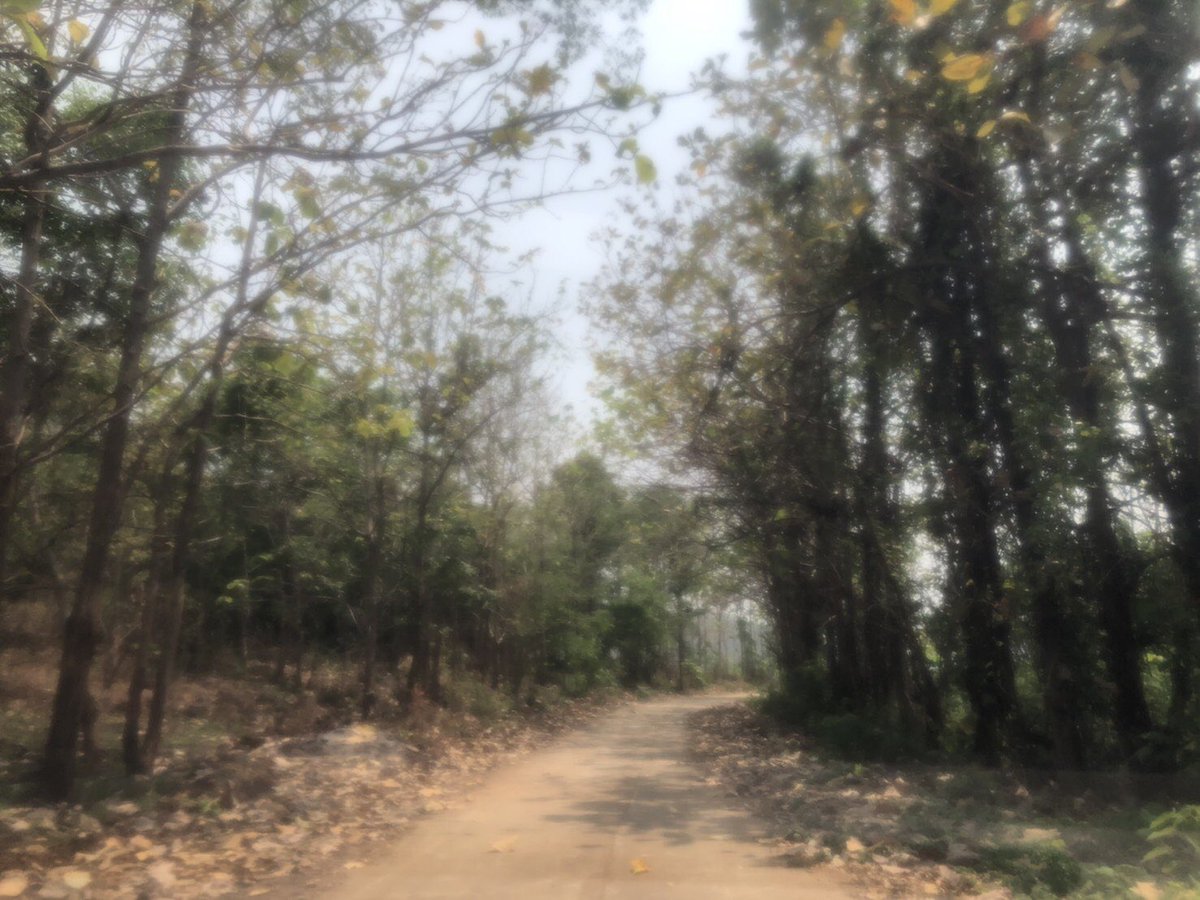 Micro_OD's tweet photo. โอ้วแดด 🥵🍂🍁🔥 https://t.co/YPrtLsV67f