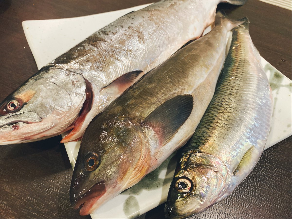 お魚クイズ お魚クイズ