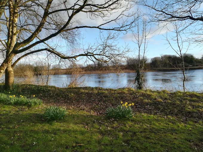 UniOfGalwayHub's tweet photo. It's that time of the day again!
TAKE A SCREEN/MOVEMENT BREAK 💻📱
Head outside for a 5 minute break 🌻🌱🌼⛅️
#NUIGWhatsOn #WindDownWeek
@HealthUnitNUIG @NUIGSU @ALIVEnuigalway
@NUIGAccess @NUIGalwayAccom @EnergySocNUIG @SocsBoxNUIG @nuigalwaysport @FlirtNewsFeed https://t.co/DfzLbX4Vua