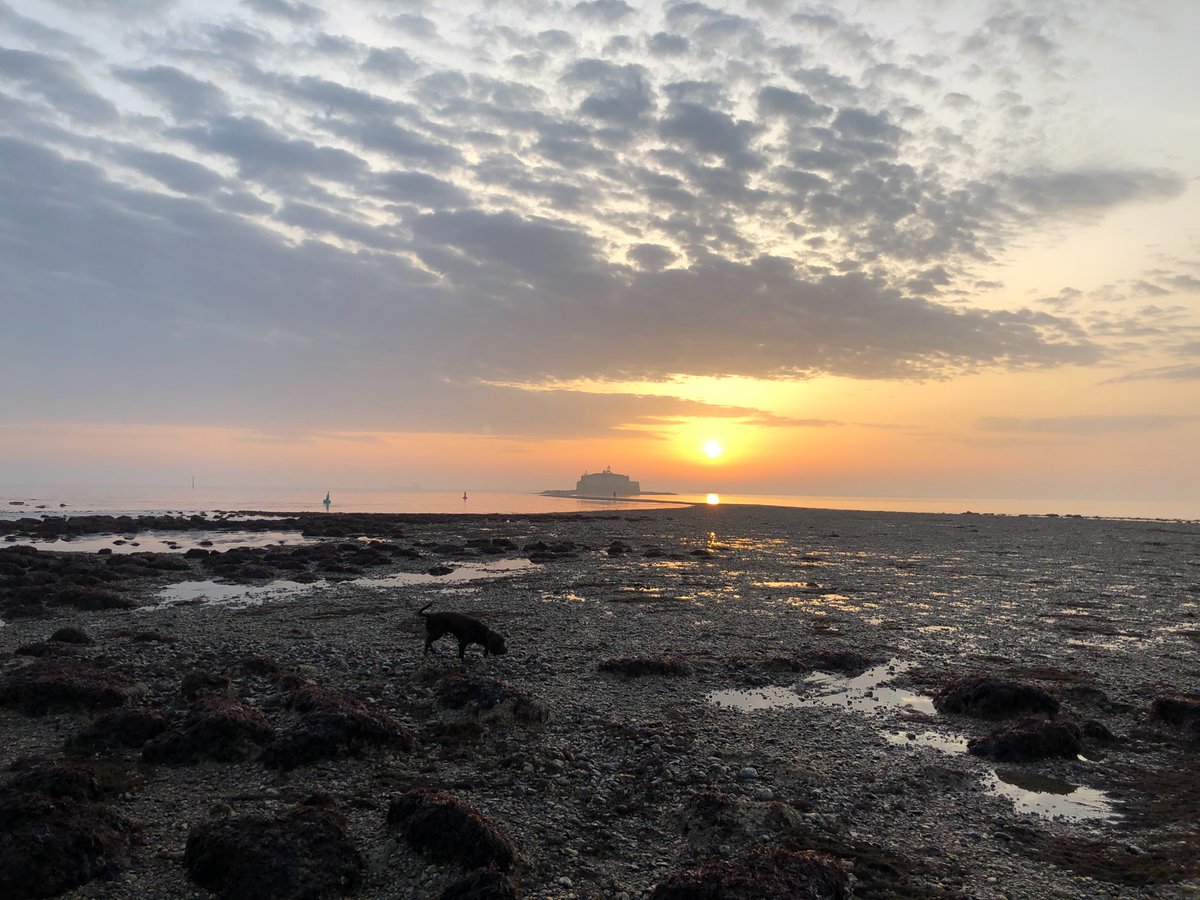 BembridgeFish's tweet image. St Helen’s fort walk in March! What are you thinking?
Lovely it was too.