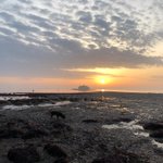 Photo by Captain Stan's (@BembridgeFish)
