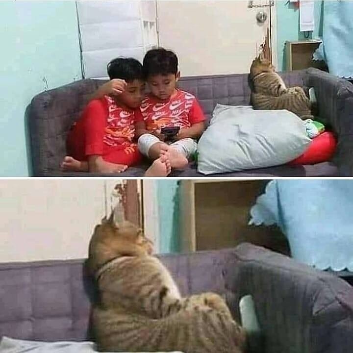 Ketawa itu GRATIS 🛩 (@kucengterbanggg) on Twitter photo 