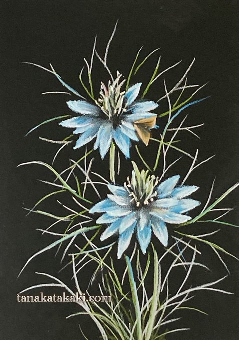 ニゲラのtwitterイラスト検索結果 古い順 ニゲラのtwitterイラスト検索結果 古い順