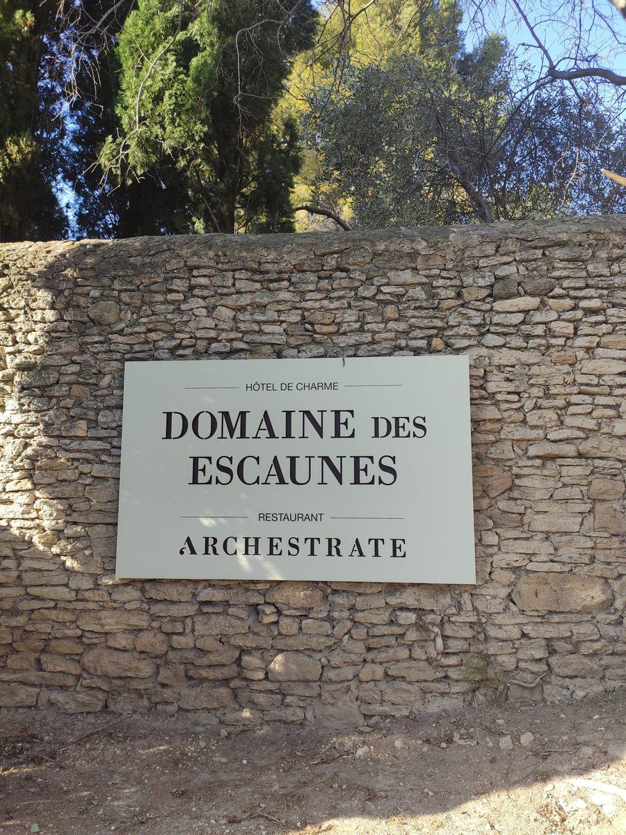 Olivia_Mahieu's tweet photo. Hier, je formais Patricia et Marc, propriétaires du très beau @DomaineEscaunes dans le Gard.
Un #coachingdigital pour leur permettre d'être pleinement à l'aise sur les réseaux sociaux.
Un très bel endroit pour vos séjours, fêtes familiales et séminaires.
Voyez vous-même ! https://t.co/7MoiFGjCLn
