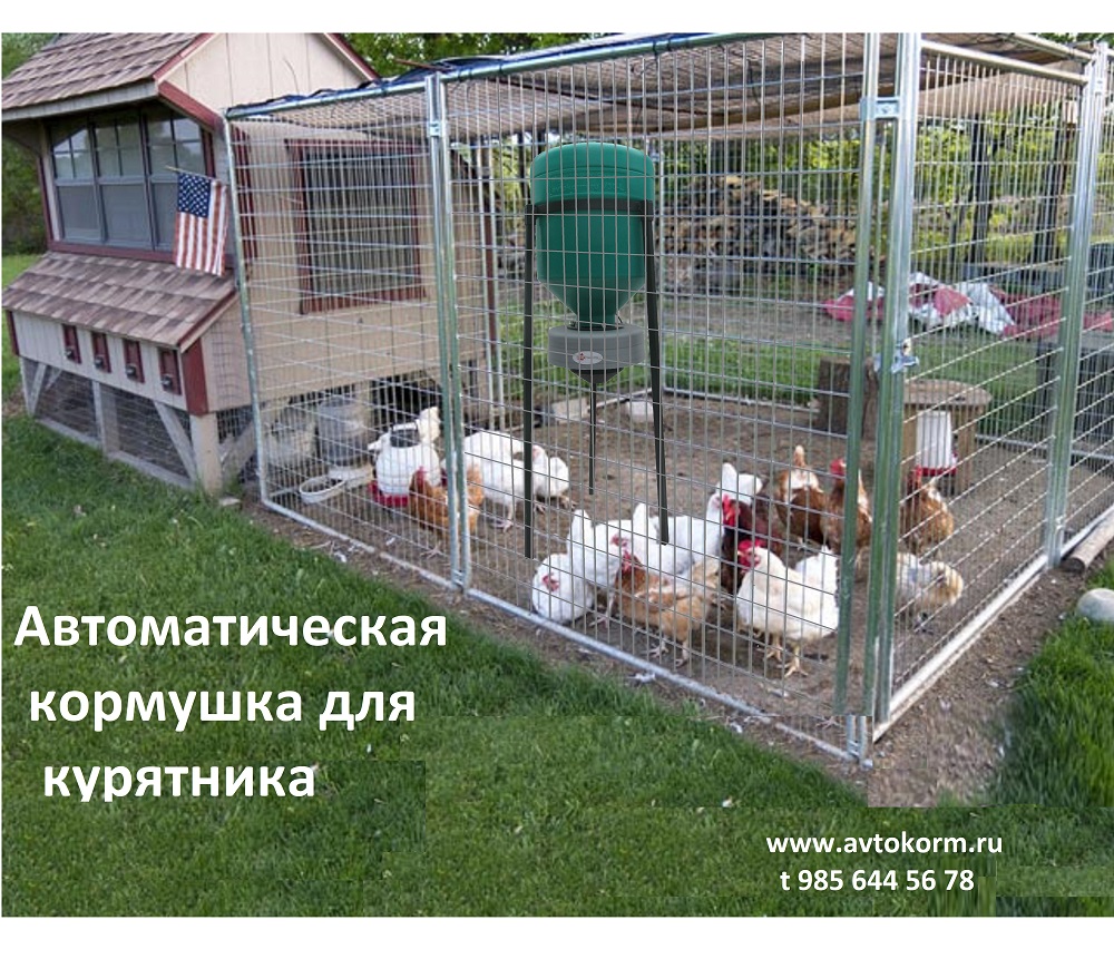 Вольер для бройлеров на даче