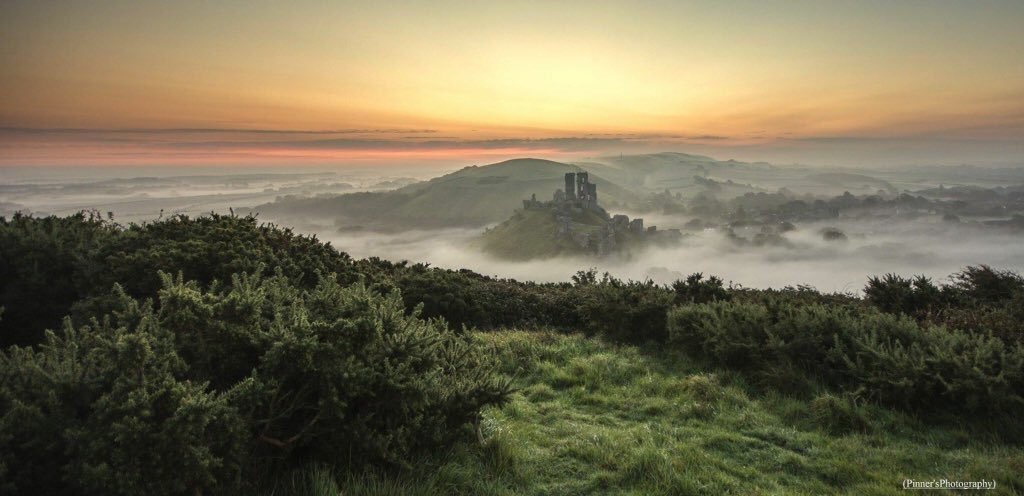 Matt_Pinner's tweet photo. RT if you love #Dorset ❤️

https://t.co/kAL2Y9aiu2 https://t.co/elgmlO7qbQ