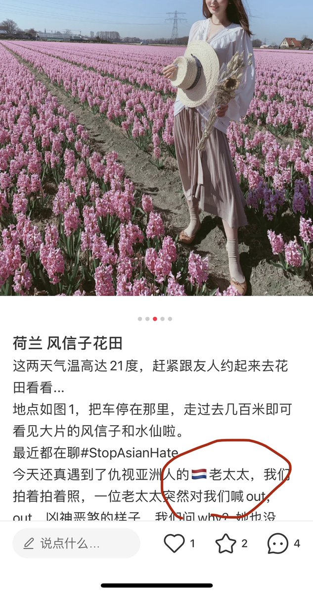 荷兰大姐姐 tweet media