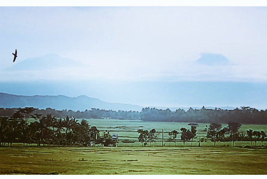 dionisius_ryan's tweet image. AJXCycling persewaan sepeda.
085641418318
085643941552

#visitkulonprogo
#jalanviralkulonprogo
#wisatakulonprogo
#geblekmenorehview
@jogja_visit 
@wisatajogjakota 
@JogjaUpdate 
@infokulonprogo 
@KulonprogoKabar 
#wisatananggulan
#sepedamenoreh