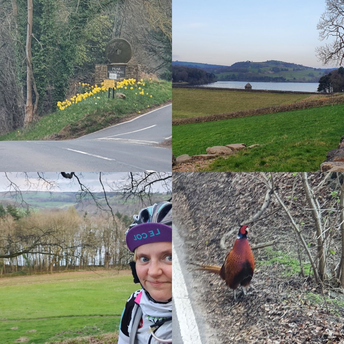tinyjneenie's tweet photo. Early morning #Damflask ride! #theoutdoorcity #thisgirlcan #movemoresheff https://t.co/YRv5RSwL6I