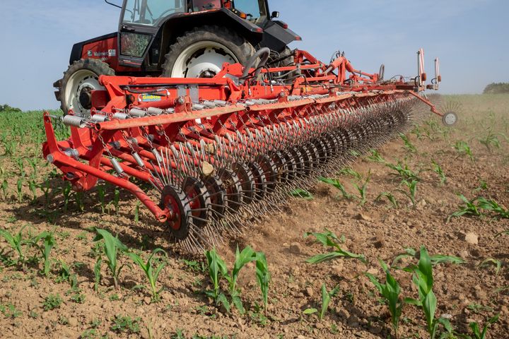 Revue_Biofil's tweet photo. GRANDES CULTURES
Se former au désherbage mécanique avec Agrobio 35

Agrobio35 
#agri #bio #desherbage #biologique #organic #agriculture 
https://t.co/CUptbxGqE0 https://t.co/g6n3eoXmoi