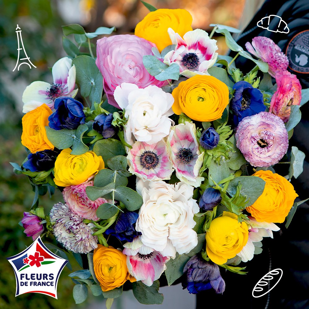 Bonjour Twitter avec notre bouquet de fleurs de saison et françaises ! #renoncule #anemone 
=>bit.ly/fleursdesaison…