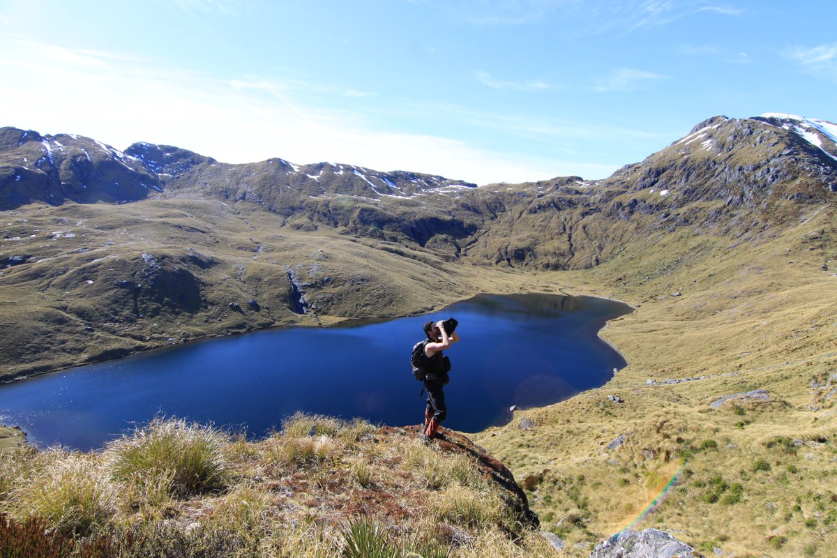 Sometimes simplest is the best option!

A non-labour intensive monitoring method for alpine birds we've recently rolled out across Sth Island to monitor population responses to predator control #nzrockwren

<a href="/PredatorFreeNZ/">Predator Free New Zealand Trust</a> <a href="/OSNZBirdsNZ/">Birds New Zealand</a> <a href="/Forest_and_Bird/">Forest & Bird</a> 

dx.plos.org/10.1371/journa…