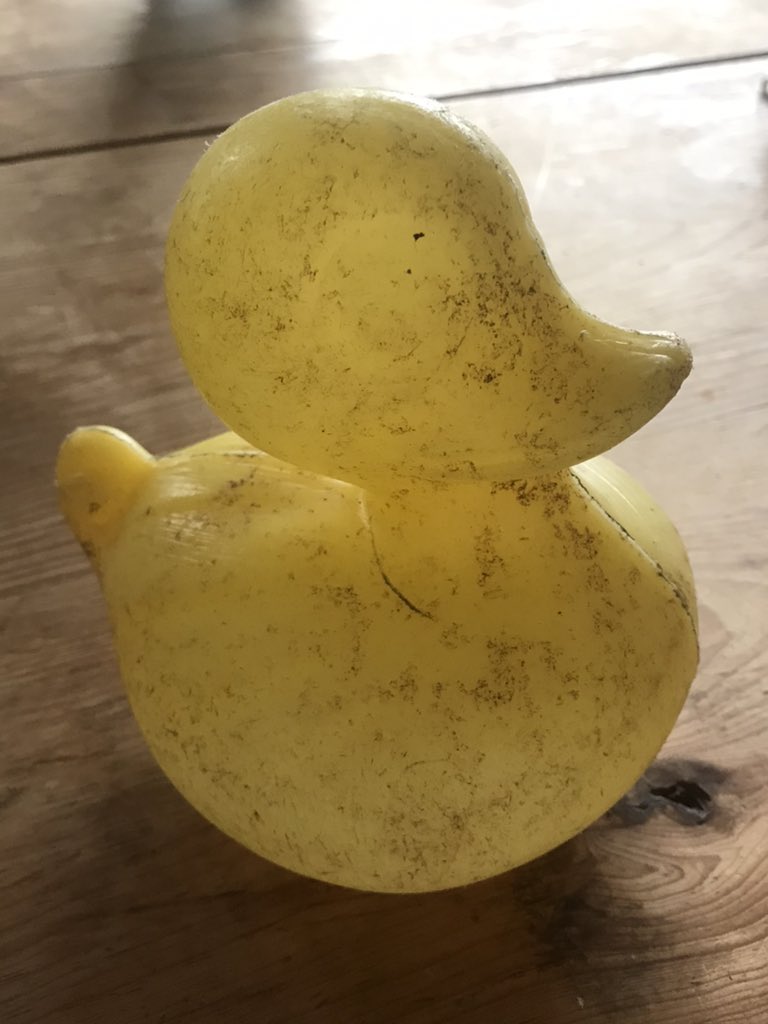 So yesterday I found this little guy on a desolate beach in Dumfries &amp; Galloway. Is he a Friendly Floater from the 1992 container spill? If so he’s had an incredible journey. <a href="/LegoLostAtSea/">Lego Lost At Sea</a> should I report my find?