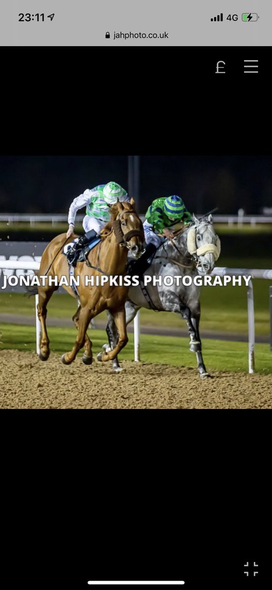 Makambe battling hard to win the last @wolvesraces 🥇🎉🥂 congratulations to all connections. #winner #racing #horseracing #winning #ownership #ownaracehorse #getinvolved #teamwork #grey #thoroughbred #cbanhamracing #mulligansyard #winningmatters #fast #fasthorse