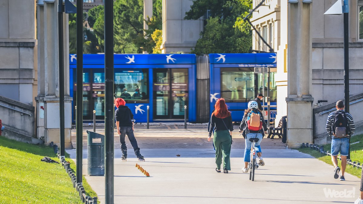 Weelz! Le média vélo Leader de Pignon tweet media