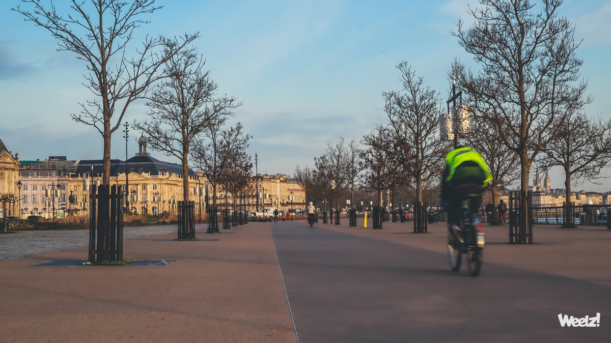 Weelz! Le média vélo Leader de Pignon tweet media