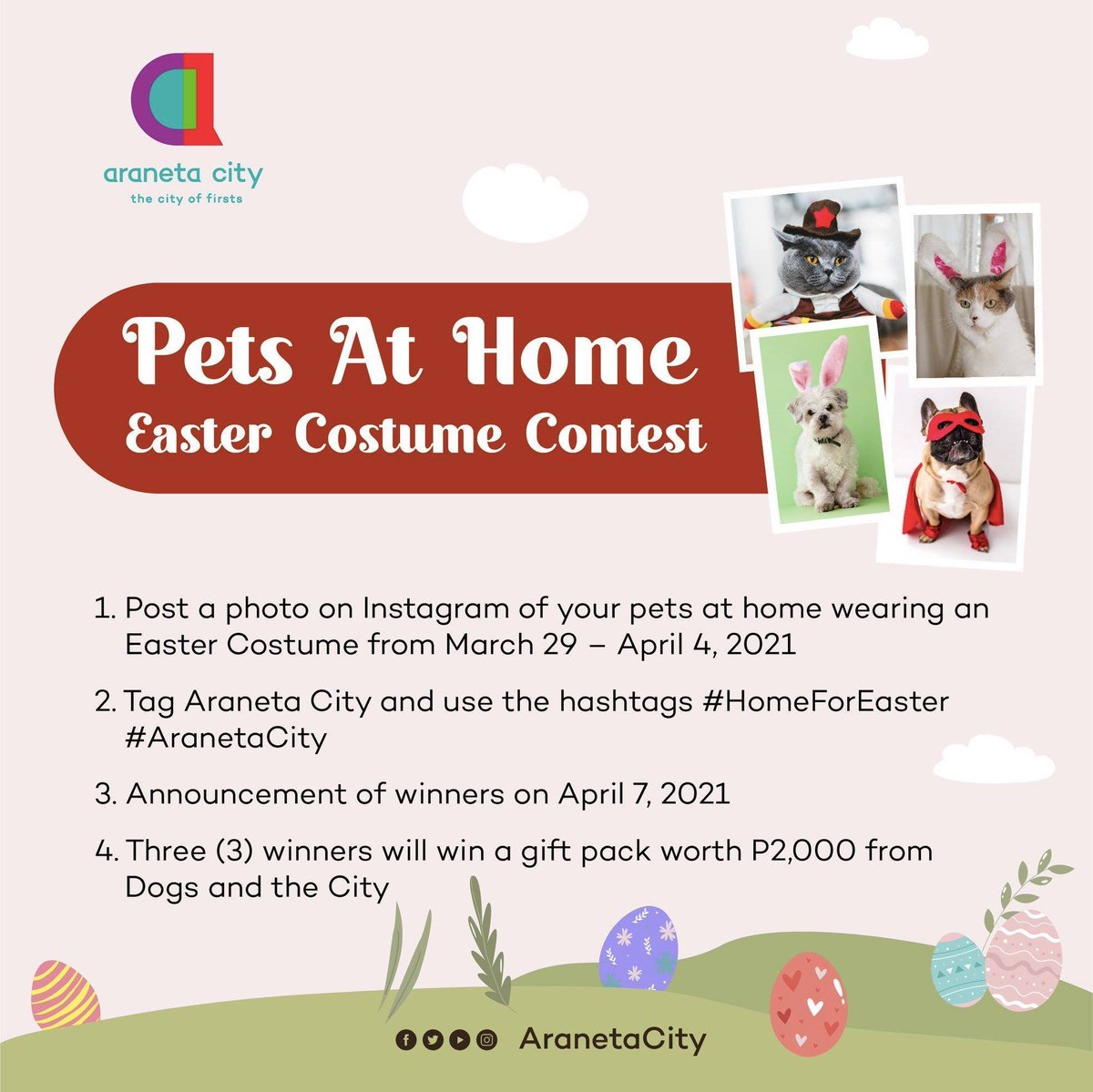 AranetaCity's tweet photo. 📣 Calling all our pals out there! 🐾 Join our pet Easter costume contest and get a chance to win gift packs from Dogs And The City.
 
Just POST, TAG, and USE the hashtags #HomeForEaster &amp; #AranetaCity! 

We can't wait to see your cute pet pals on IG!

#CityofFirsts https://t.co/liQp48LOPg