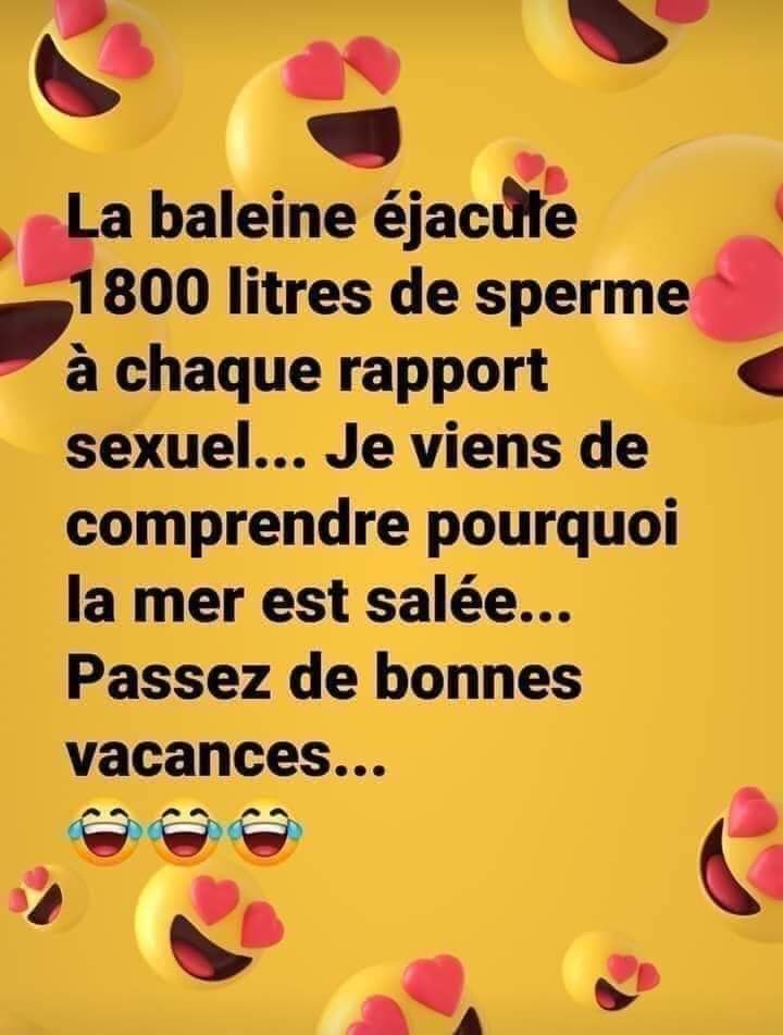 MikeMotors4's tweet photo. Mort de rire 🤣👍🇫🇷😷 #GGRMC https://t.co/eY75t3J5QT