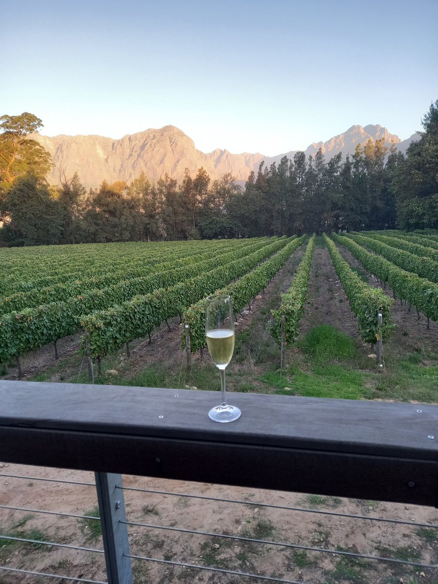 FrancoisLubbe1's tweet photo. Spent a wonderful time in the company of Thomas Webb at @ThelemaWines as part of the Boland Wine Club. Thank you @BjornOort #greatwines #quality #amustvisit https://t.co/tqvQt0zMfR