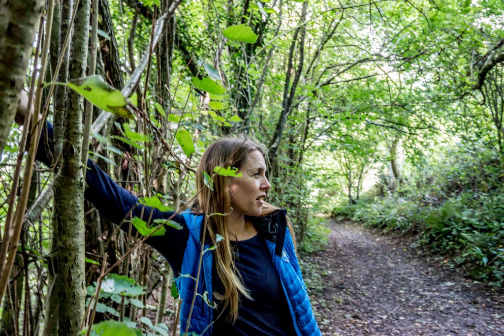 Go Wild Education Forest School tweet media