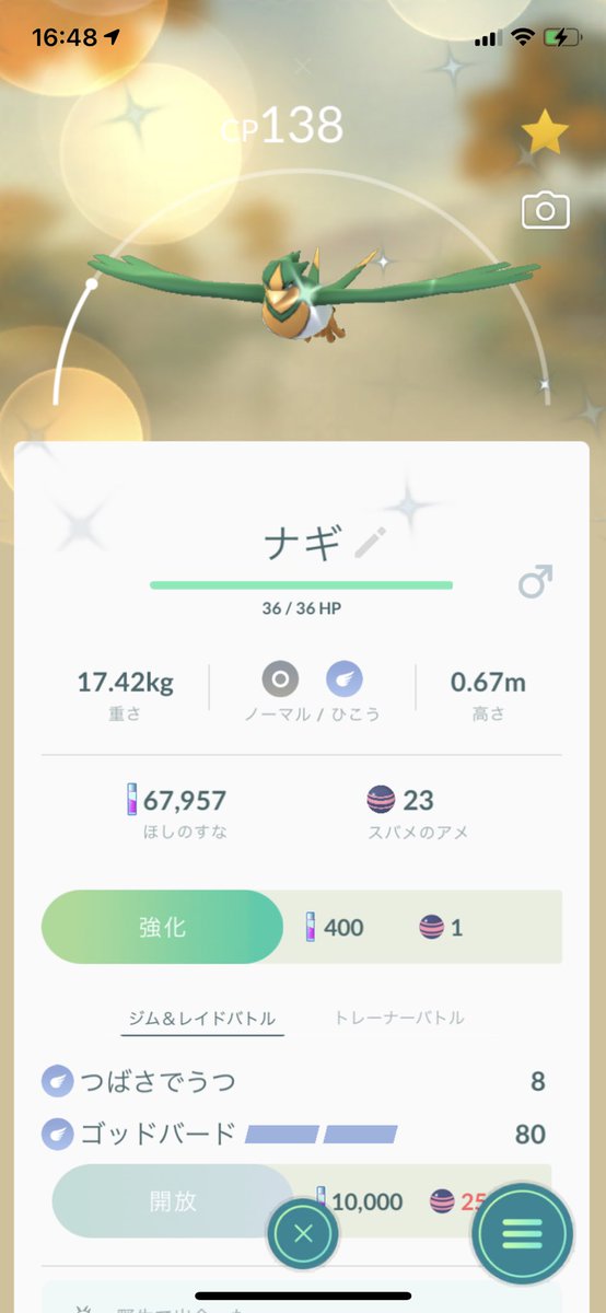 Toof So324 アニメのナギさんは色違いのオオスバメでしたね Toof So324 アニメのナギさんは色違いのオオスバメでしたね