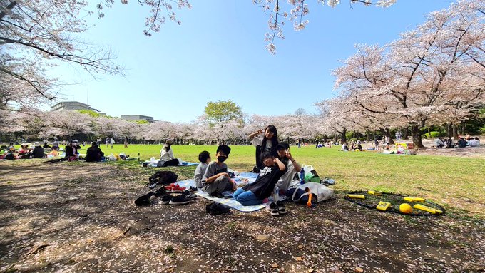 松田かれんのTwitter画像8